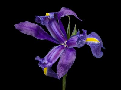 2023-03-15-10.38.40 ZS PMax_openWith.jpg