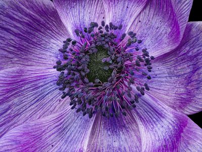 2023-03-15-04.00.58 ZS PMax_openWith.jpg