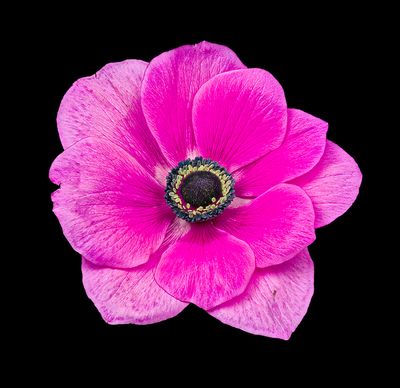 2023-03-24-10.15.41 ZS PMax_openWith.jpg