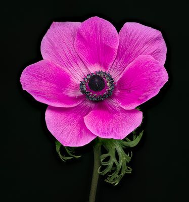 2023-04-06-10.28.59 ZS PMax_openWith.jpg