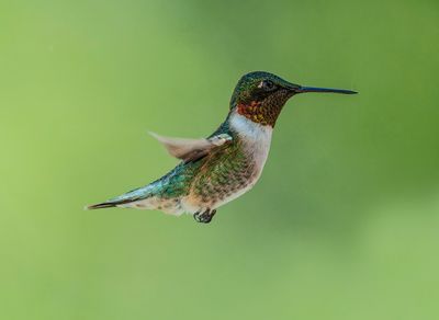 _DSC6898_openWith.jpg