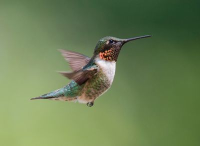 _DSC7283_openWith.jpg