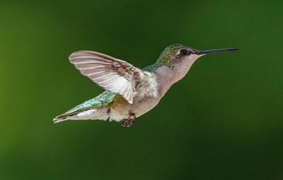 _DSC7680_openWith.jpg