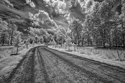 _DSC7596_openWith.jpg