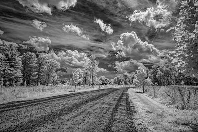_DSC7599_openWith.jpg