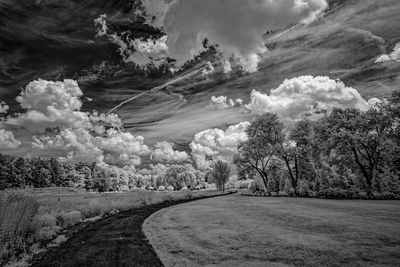 _DSC7604_openWith.jpg
