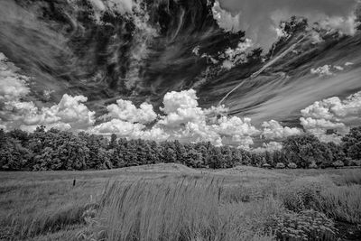_DSC7606_openWith.jpg