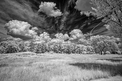 _DSC7610_openWith.jpg
