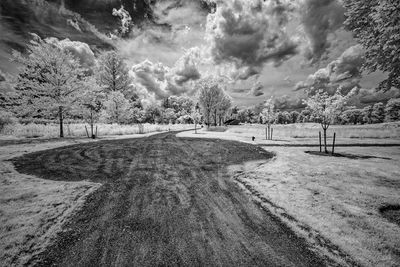 _DSC7630_openWith.jpg