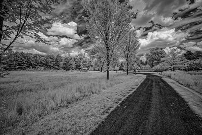 _DSC7635_openWith.jpg