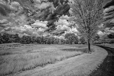 _DSC7638_openWith.jpg