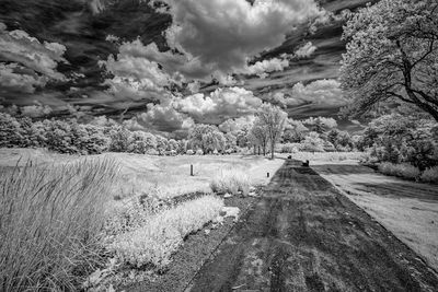 _DSC7639_openWith.jpg