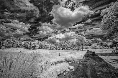 _DSC7640_openWith.jpg
