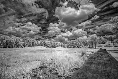 _DSC7642_openWith.jpg