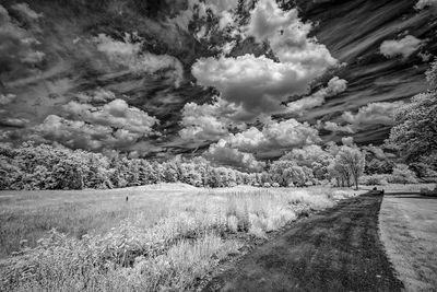 _DSC7644_openWith.jpg