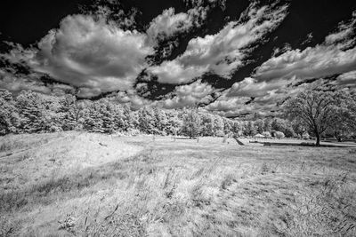 _DSC7709_openWith.jpg
