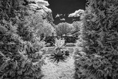 _DSC7712_openWith.jpg