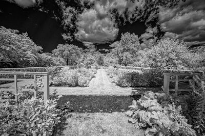 _DSC7720_openWith.jpg