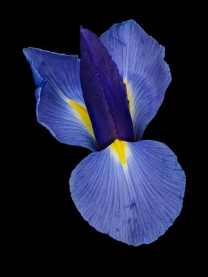 2024-01-11-08.49.24 ZS PMax_openWith.jpg