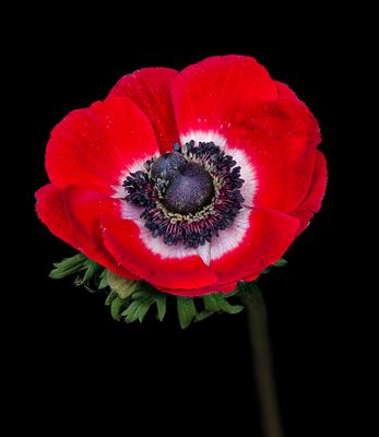 2024-01-16-02.25.00 ZS PMax_openWith.jpg