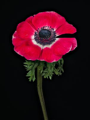 2024-01-17-01.55.54 ZS PMax_openWith.jpg