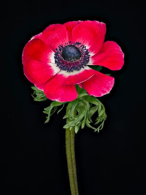2024-01-17-10.28.01 ZS PMax_openWith.jpg