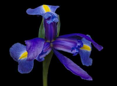2024-02-01-11.26.20 ZS PMax_openWith.jpg