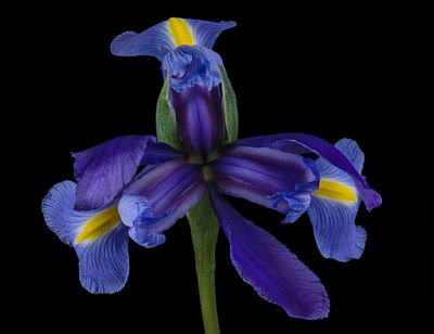 2024-02-01-12.29.01 ZS PMax_openWith.jpg