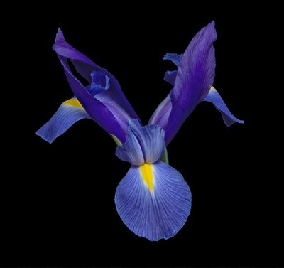 2024-02-04-09.34.36 ZS PMax_openWith.jpg