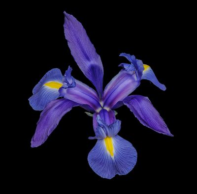 2024-02-04-02.44.18 ZS PMax_openWith.jpg