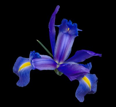2024-02-16-01.47.57 ZS PMax_openWith.jpg