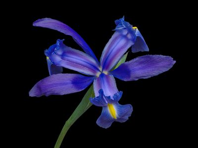 2024-02-16-03.23.35 ZS PMax_openWith.jpg
