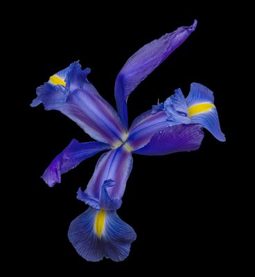 2024-02-20-12.23.11 ZS PMax_openWith.jpg