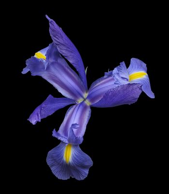 2024-02-20-11.56.46 ZS PMax_openWith.jpg
