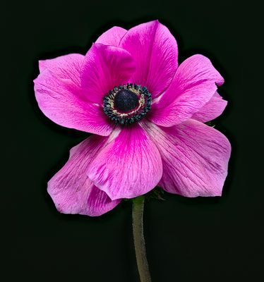 2024-02-29-03.43.01 ZS PMax_openWith.jpg