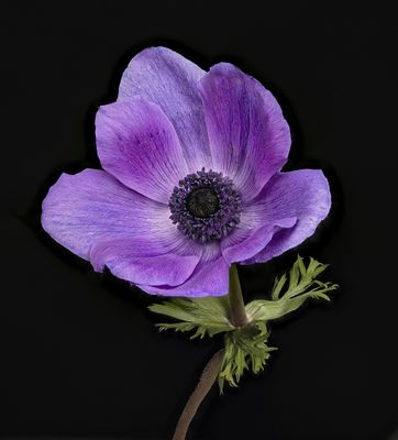 2024-03-02-03.20.25 ZS PMax_openWith.jpg