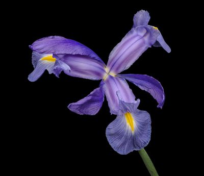 2024-03-02-02.46.31 ZS PMax_openWith.jpg