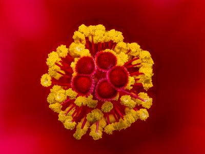 2024-04-27-10.52.31 ZS PMax_openWith.jpg