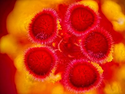 2024-04-28-02.40.56 ZS PMax_openWith.jpg