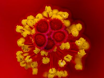 2024-04-29-11.49.54 ZS PMax_openWith.jpg