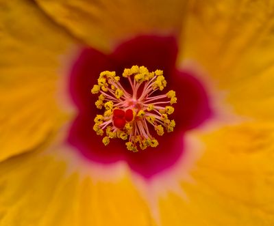 2024-04-30-07.40.26 ZS PMax_49_openWith.jpg