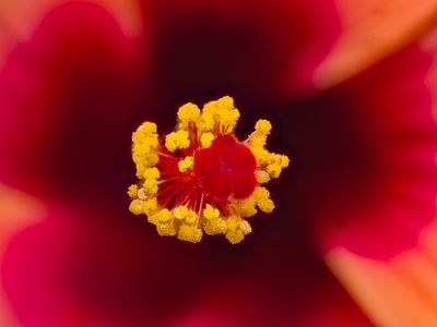 2024-04-30-09.47.32 ZS PMax_openWith.jpg