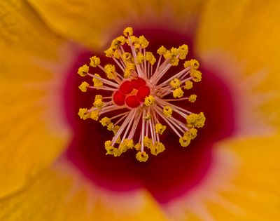 2024-05-02-03.15.52 ZS PMax_openWith.jpg