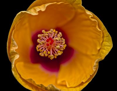2024-05-04-08.08.12 ZS PMax_36_openWith.jpg