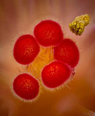 2024-05-04-12.26.10 ZS PMax_openWith.jpg