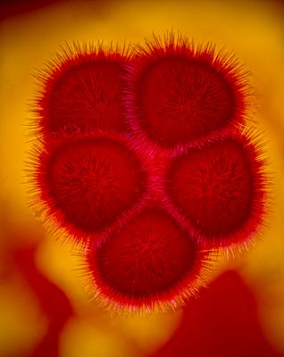 2024-05-05-08.20.21 ZS PMax_openWith.jpg