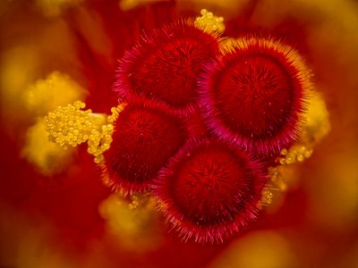 2024-05-09-02.21.46 ZS PMax_openWith.jpg