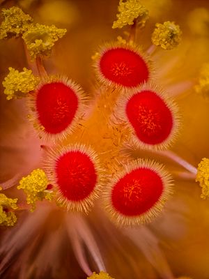2024-05-09-05.02.44 ZS PMax_openWith.jpg