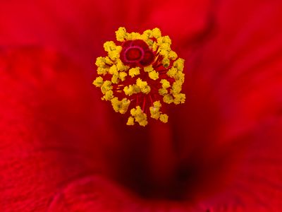 2024-05-12-10.29.08 ZS PMax_60_openWith.jpg