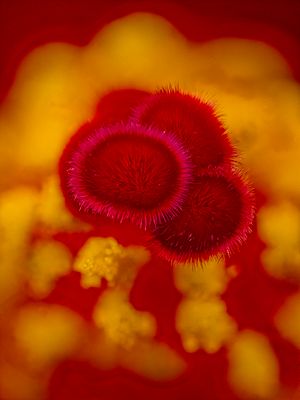 2024-05-12-08.48.35 ZS PMax_openWith.jpg